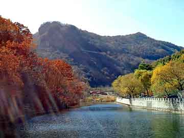 新澳门出彩综合开奖结果查询，餐巾纸机器